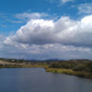 Meet your Posher, Elisa